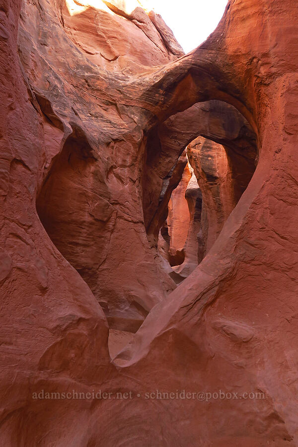 heart-shaped arch [Peek-A-Boo Slot Canyon, Grand Staircase-Escalante National Monument, Kane County, Utah]