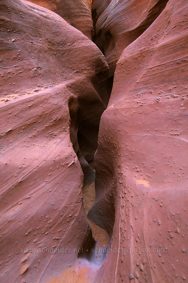 sandstone walls [Spooky Slot Canyon, Grand Staircase-Escalante National Monument, Kane County, Utah]