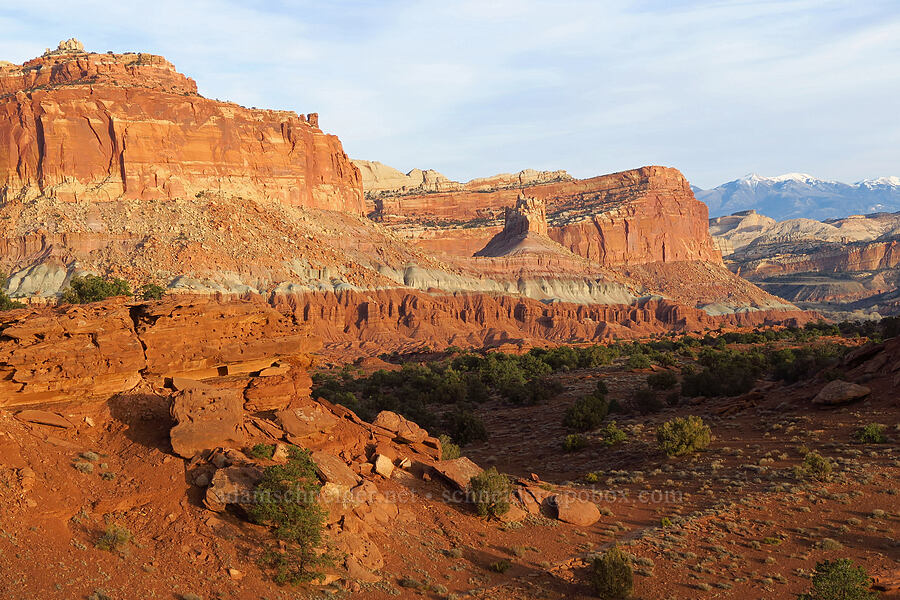 The Castle [Panorama Point, Capitol Reef National Park, Wayne County, Utah]