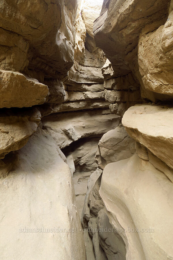 mudstone slot canyon [The Slot, Anza-Borrego Desert State Park, San Diego County, California]