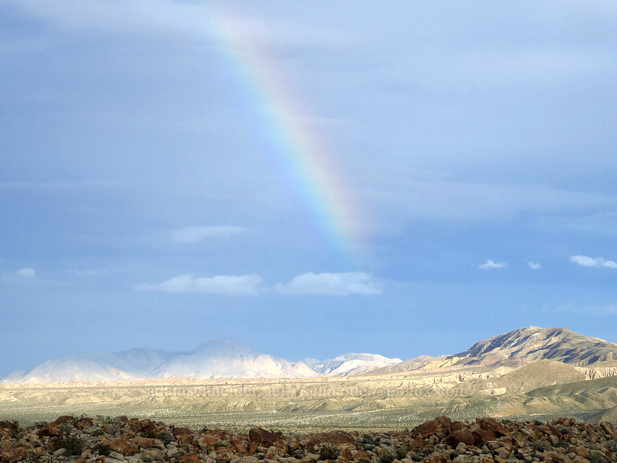 rainbow [Mountain Palm Springs, Anza-Borrego Desert State Park, San Diego County, California]