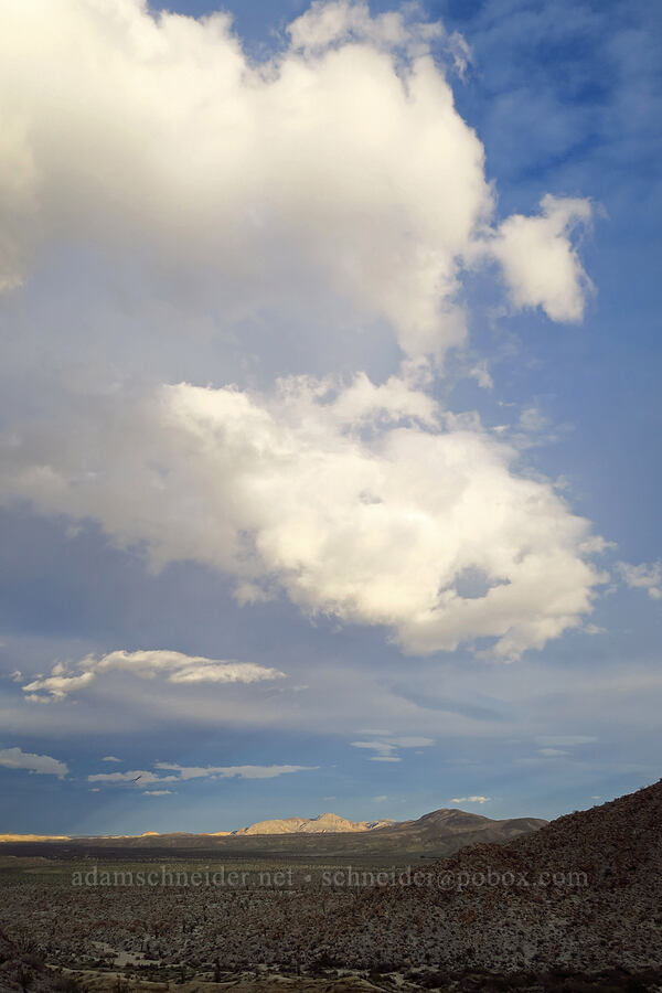 clouds over the Carrizo Valley [Mountain Palm Springs, Anza-Borrego Desert State Park, San Diego County, California]