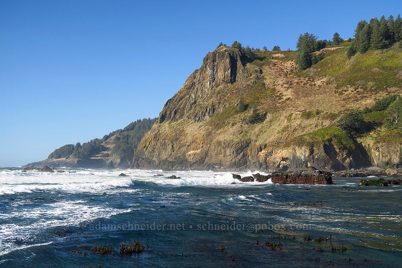 Cape Foulweather [Otter Rock Marine Garden, Otter Rock, Lincoln County, Oregon]