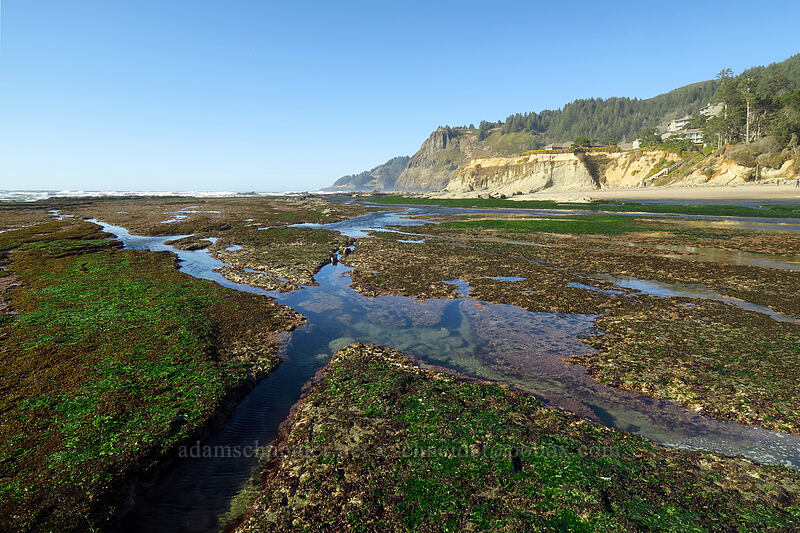 tidepools & Cape Foulweather [Otter Rock Marine Garden, Otter Rock, Lincoln County, Oregon]