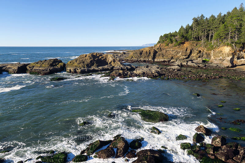 cove north of Boiler Bay [Boiler Bay Research Reserve, Lincoln County, Oregon]