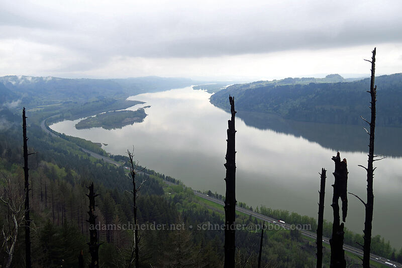 Columbia River [Angel's Rest Trail, Columbia River Gorge, Multnomah County, Oregon]