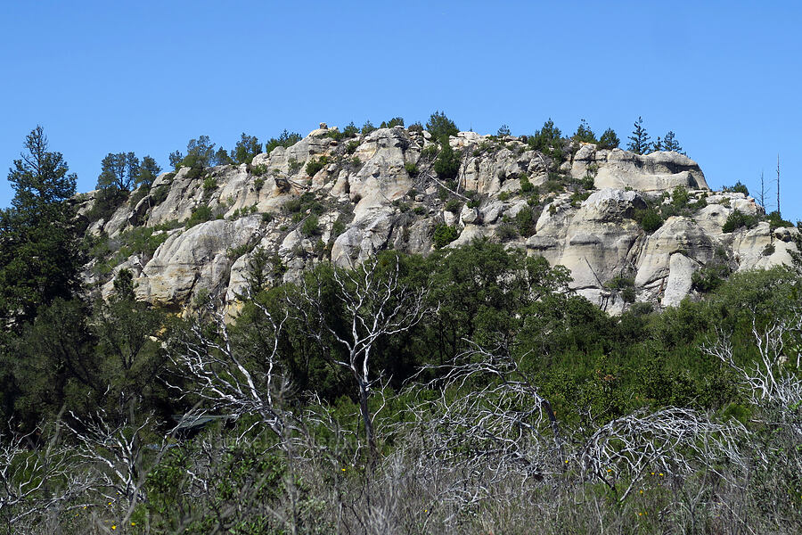 Moon Rocks [Bonny Doon Ecological Reserve, Santa Cruz County, California]