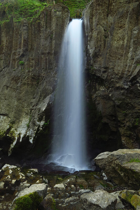 Drift Creek Falls [Drift Creek Falls Trail, Siuslaw National Forest, Lincoln County, Oregon]