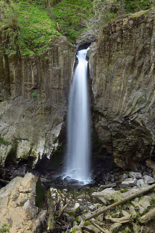 Drift Creek Falls [Drift Creek Falls Trail, Siuslaw National Forest, Lincoln County, Oregon]