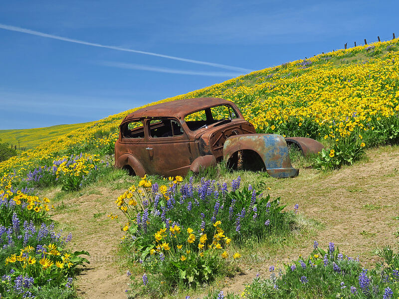 The Dalles Mountain car [Dalles Mountain Ranch, Columbia Hills State Park, Klickitat County, Washington]