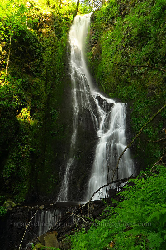Coopey Falls [Shepperd's Dell State Park, Bridal Veil, Multnomah County, Oregon]