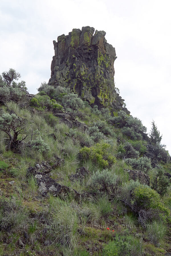 Chimney Rock [Chimney Rock Trail, Crook County, Oregon]