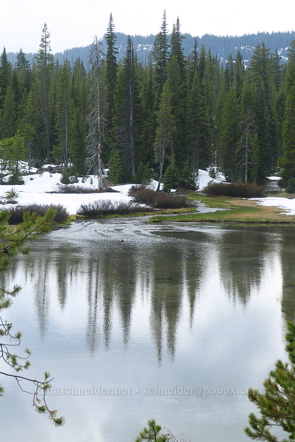 Tyee Creek & Devil's Lake [Cascade Lakes Highway, Deschutes National Forest, Deschutes County, Oregon]