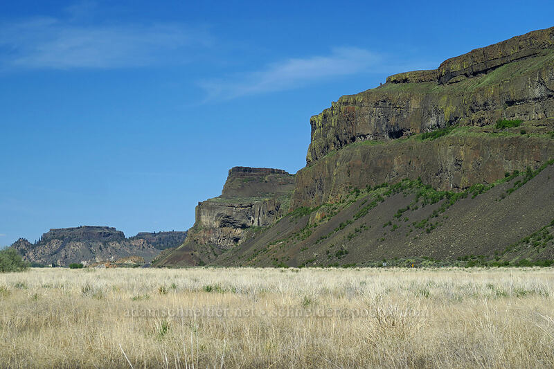 east side of Grand Coulee [Steamboat Rock State Park, Grant County, Washington]