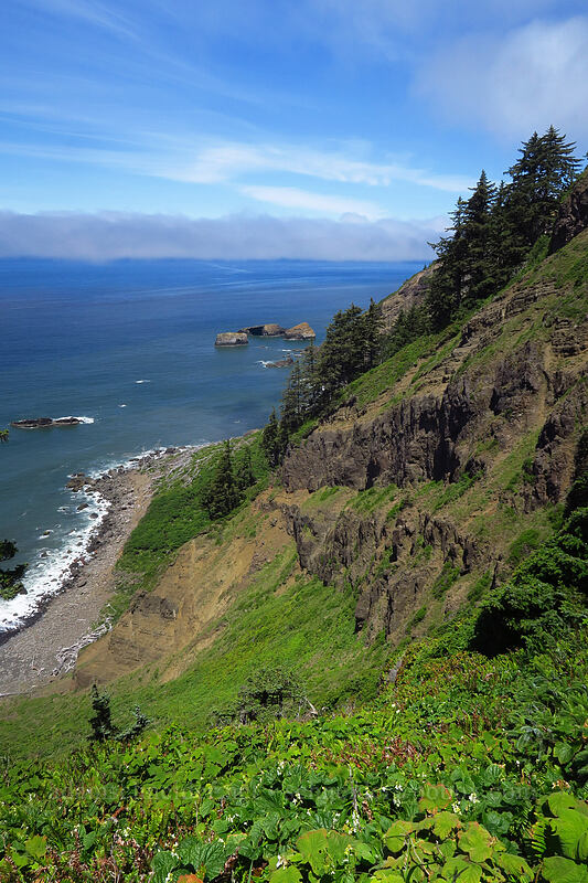 steep cliffs [Cascade Head Trail, Tillamook County, Oregon]