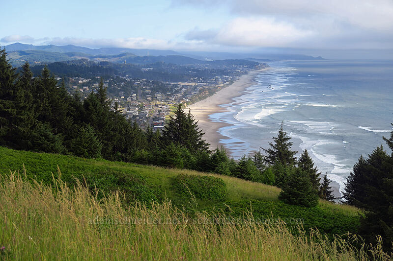 Lincoln City [God's Thumb Trail, Siuslaw National Forest, Lincoln County, Oregon]