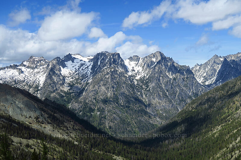Stuart Range & Hardscrabble Basin [Earl Peak-Bean Peak ridge, Wenatchee National Forest, Chelan County, Washington]