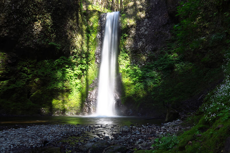 Weisendanger Falls [Larch Mountain Trail, Mt. Hood National Forest, Multnomah County, Oregon]