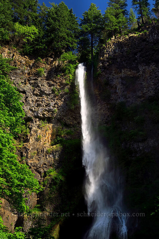 Upper Multnomah Falls, wind-blown [Multnomah Falls Trail, Mt. Hood National Forest, Multnomah County, Oregon]