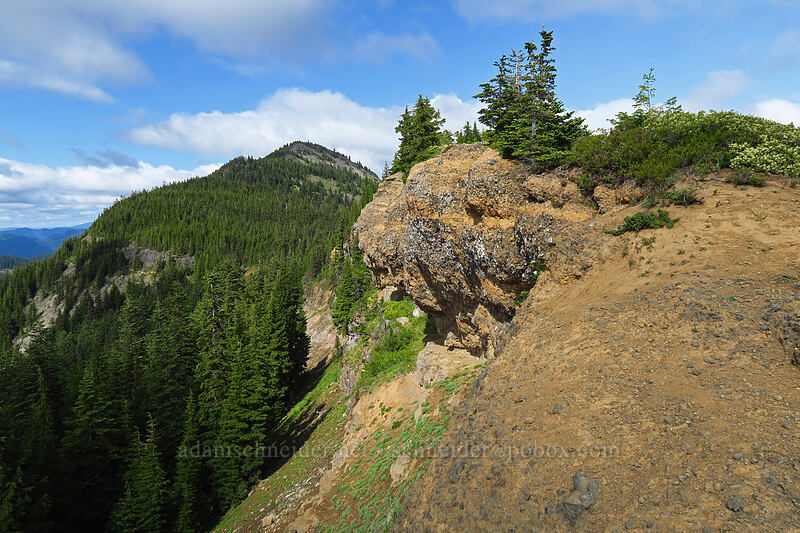 Bachelor Mountain [Bachelor Mountain Trail, Willamette National Forest, Linn County, Oregon]