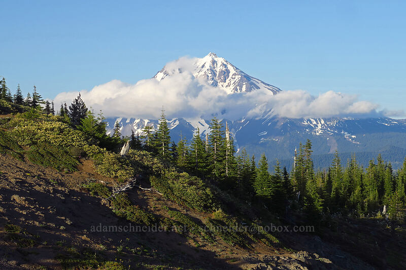 Mount Jefferson [Bachelor Mountain Trail, Willamette National Forest, Linn County, Oregon]
