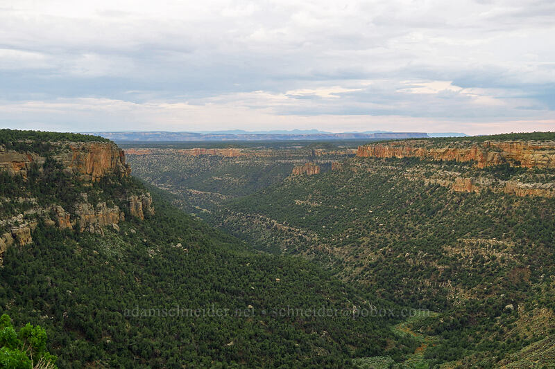 Navajo Canyon [Navajo Canyon Viewpoint, Mesa Verde National Park, Montezuma County, Colorado]