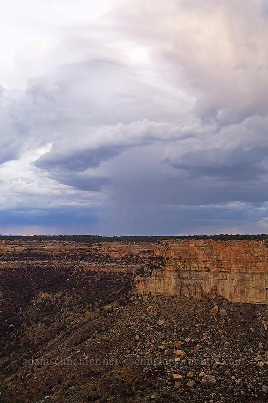 thunderstorms & Navajo Canyon [Square Tower House Overlook, Mesa Verde National Park, Montezuma County, Colorado]