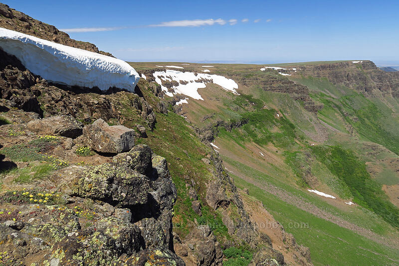 head of Kiger Gorge [Kiger Gorge Overlook, Steens Mountain, Harney County, Oregon]