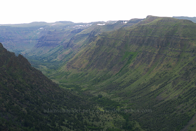 Big Indian Gorge [South Loop Road, Steens Mountain, Harney County, Oregon]