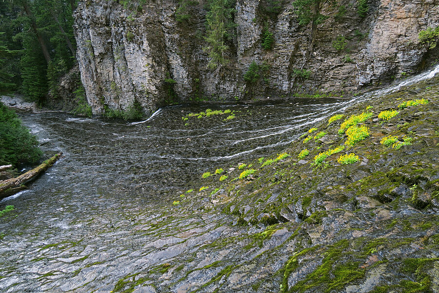 bottom of Walupt Creek Falls [Cispus River Canyon, Goat Rocks Wilderness, Lewis County, Washington]