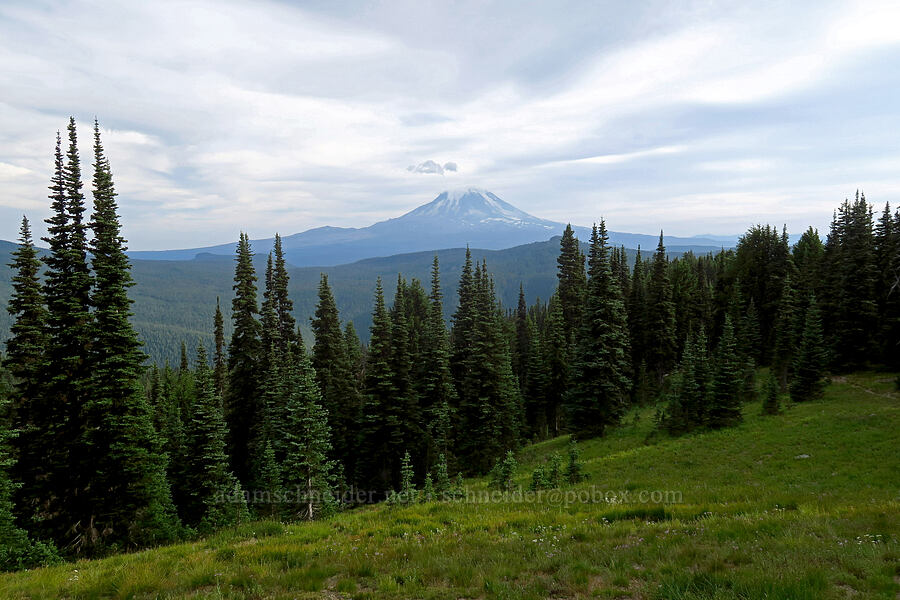 Mount Adams [Nannie Peak, Goat Rocks Wilderness, Lewis County, Washington]