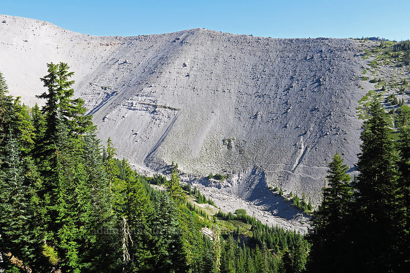 south side of Newton Clark Ridge [Timberline Trail, Mt. Hood National Forest, Hood River County, Oregon]