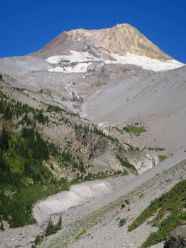 Clark Creek Canyon [Timberline Trail, Mt. Hood National Forest, Hood River County, Oregon]