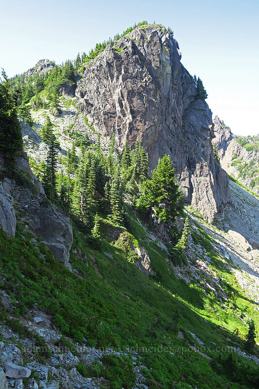 Knapsack Pass [Knapsack Pass, Mount Rainier National Park, Pierce County, Washington]