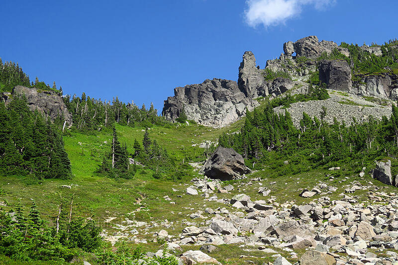 west side of Knapsack Pass [Knapsack Pass Trail, Mount Rainier National Park, Pierce County, Washington]