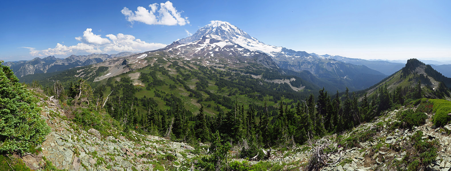 Mt. Pleasant panorama [Mt. Pleasant, Mount Rainier National Park, Pierce County, Washington]