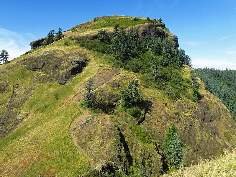 west peak of Saddle Mountain [Saddle Mountain Trail, Saddle Mountain Natural Area, Clatsop County, Oregon]