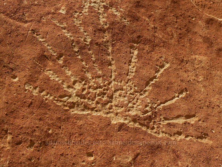 petroglyph [Capitol Gorge Trail, Capitol Reef National Park, Wayne County, Utah]