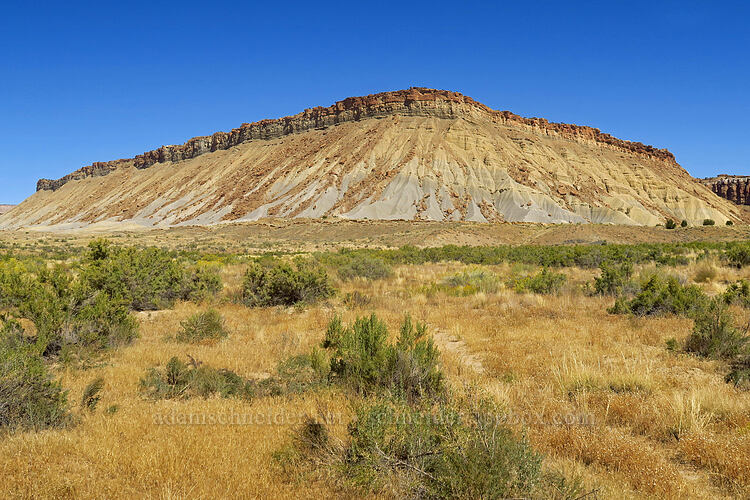 edge of Swap Mesa [Notom-Bullfrog Road, Capitol Reef National Park, Garfield County, Utah]