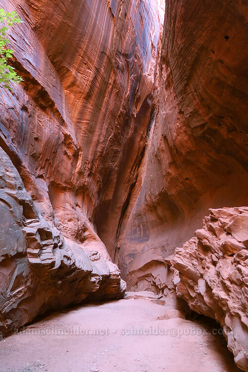 narrow canyon walls [Singing Canyon, Grand Staircase-Escalante National Monument, Garfield County, Utah]