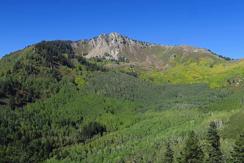 Mount Raymond [Mill A Basin Trail, Mount Olympus Wilderness, Salt Lake County, Utah]