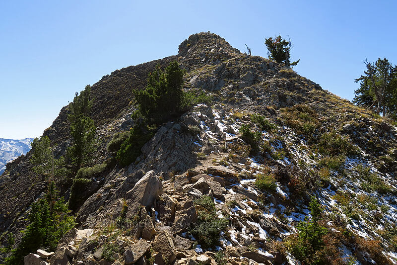 Mount Raymond's summit [Mount Raymond, Mount Olympus Wilderness, Salt Lake County, Utah]