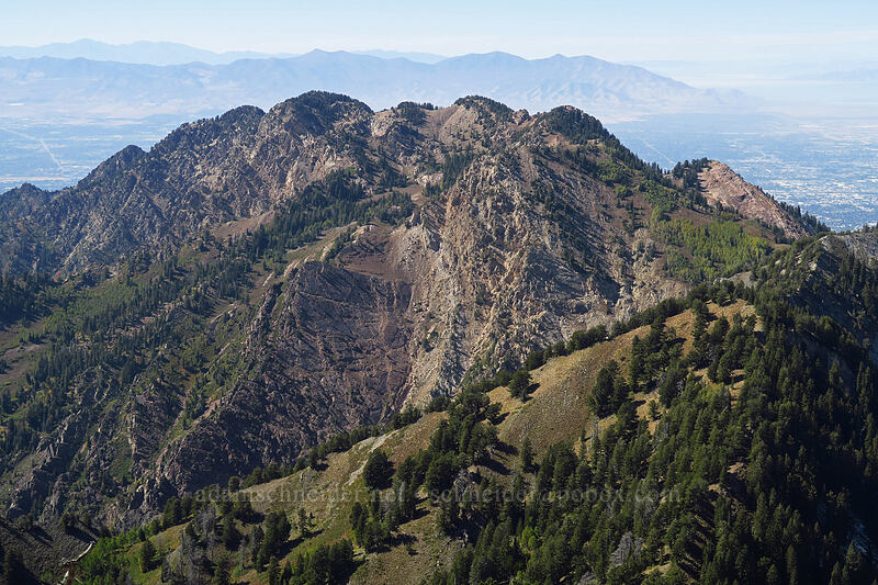 Mount Olympus [Mount Raymond, Mount Olympus Wilderness, Salt Lake County, Utah]