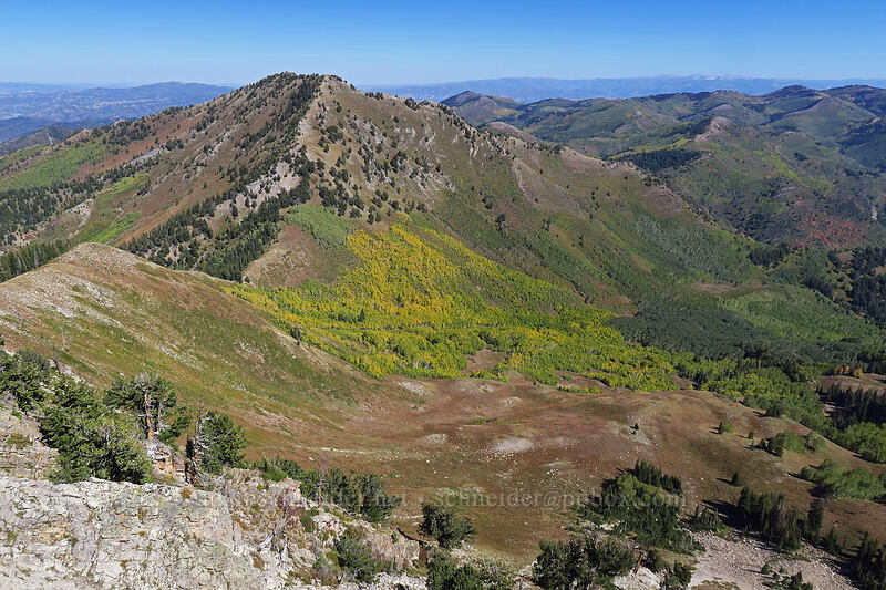 Gobbler's Knob & Mill A Basin [Mount Raymond, Mount Olympus Wilderness, Salt Lake County, Utah]