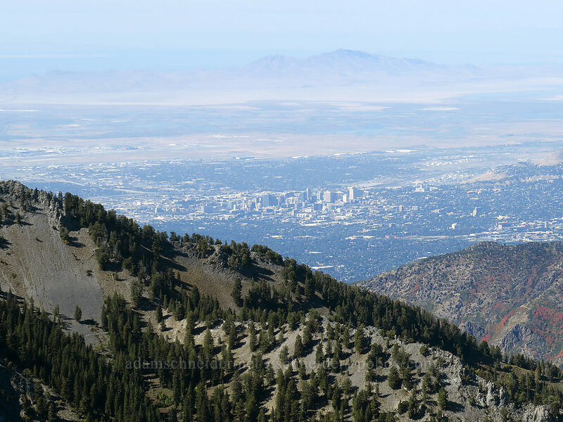 Salt Lake Valley [Mount Raymond, Mount Olympus Wilderness, Salt Lake County, Utah]