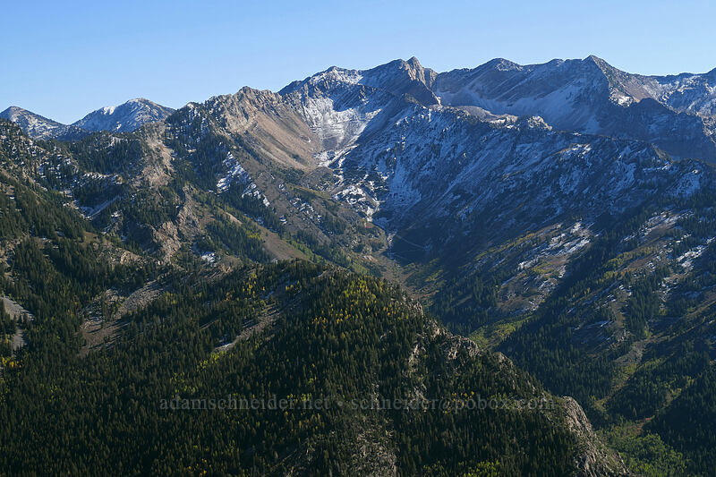 Mineral Fork & Mount Superior [Mount Raymond, Mount Olympus Wilderness, Salt Lake County, Utah]