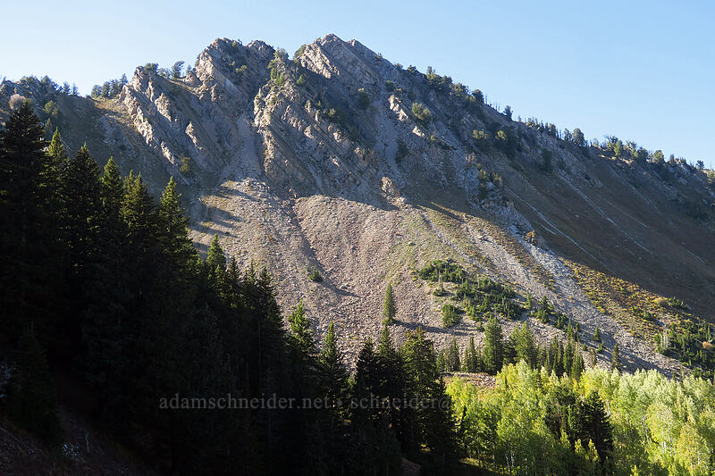 Mount Raymond [Desolation Trail, Mount Olympus Wilderness, Salt Lake County, Utah]