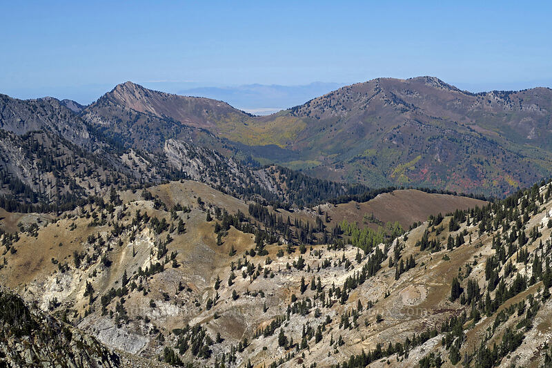 Mount Raymond & Gobber's Knob [Mount Wolverine, Uinta-Wasatch-Cache National Forest, Salt Lake County, Utah]