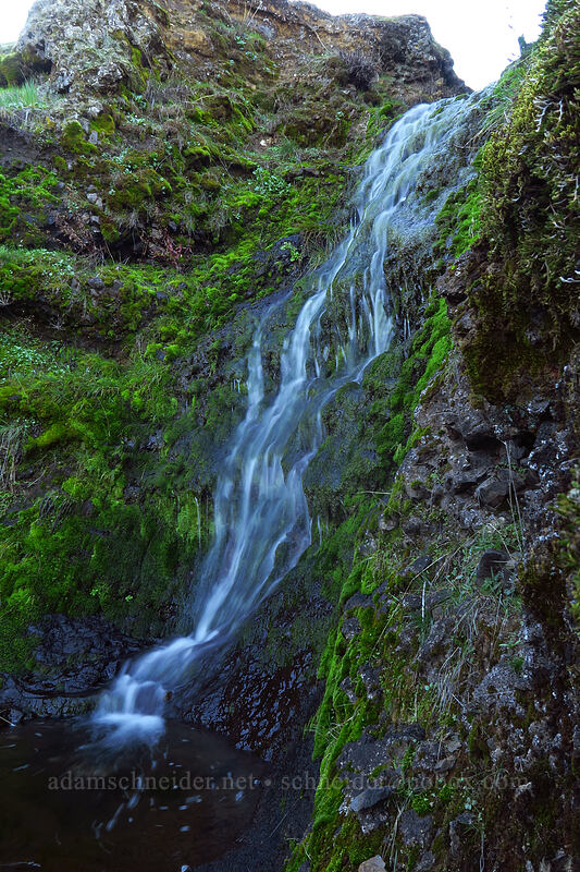 tiny waterfall [Old Ranch Road Trail, Gifford Pinchot National Forest, Klickitat County, Washington]