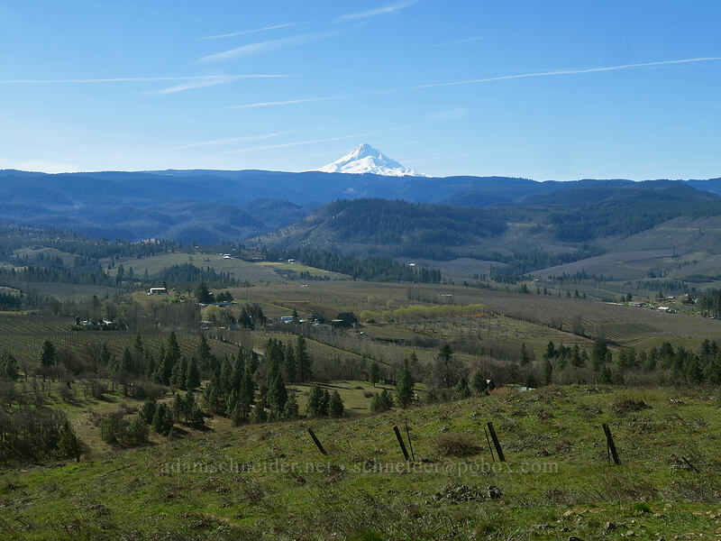 Mt. Hood [Chatfield Hill, Wasco County, Oregon]